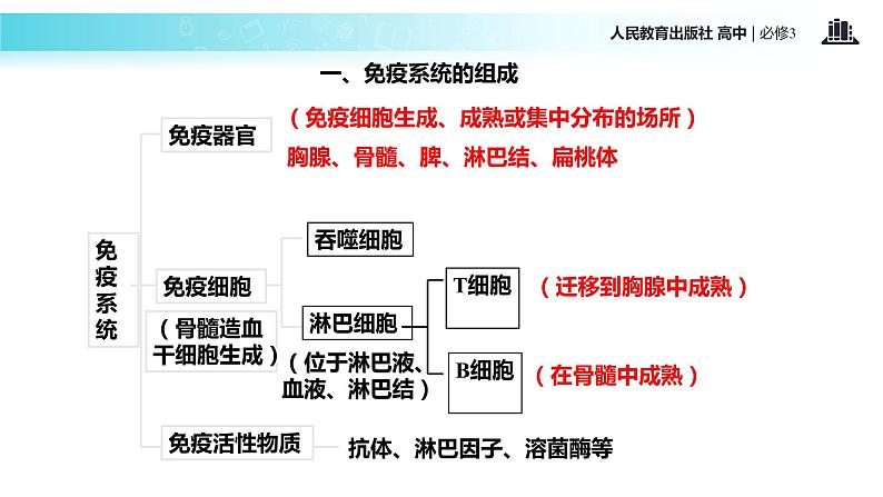 发现式教学【教学课件】《免疫调节》（人教）06