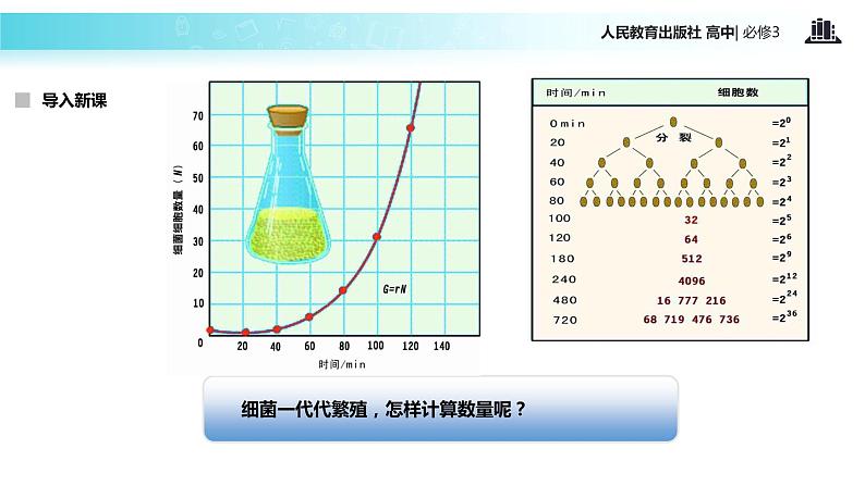 【教学课件】《种群数量的变化》（人教）03