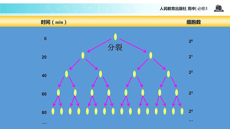 【教学课件】《种群数量的变化》（人教）04