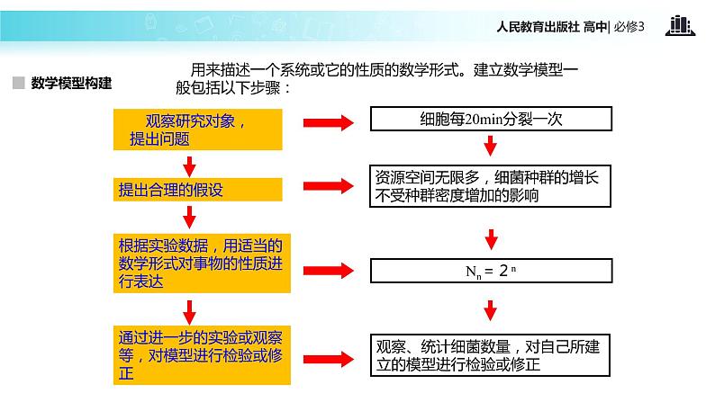 【教学课件】《种群数量的变化》（人教）08