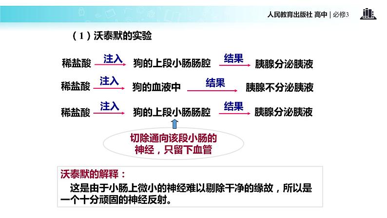 发现式教学【教学课件】《通过激素的调节》（人教）07