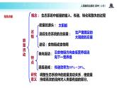 发现式教学【教学课件】《生态系统的能量流动》（人教）