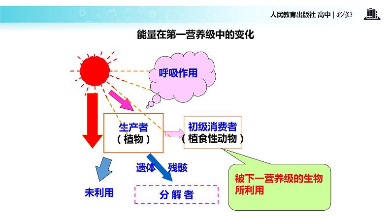 发现式教学【教学课件】《生态系统的能量流动》（人教）07