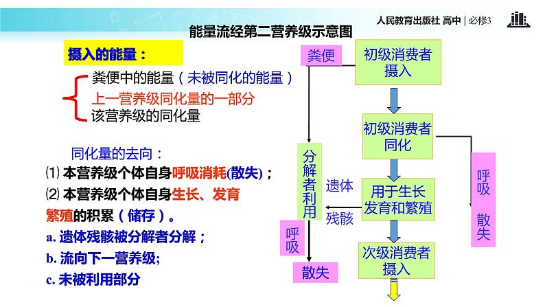 发现式教学【教学课件】《生态系统的能量流动》（人教）08