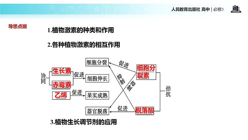 发现式教学【教学课件】《其他植物激素》（人教）06