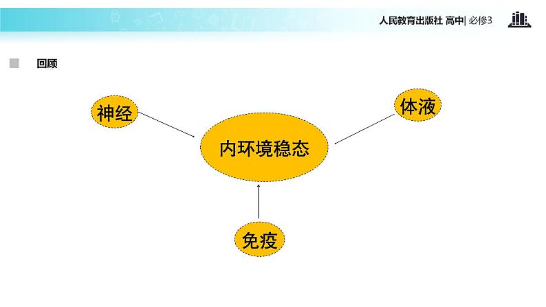 【教学课件】《通过神经系统的调节》（人教）04