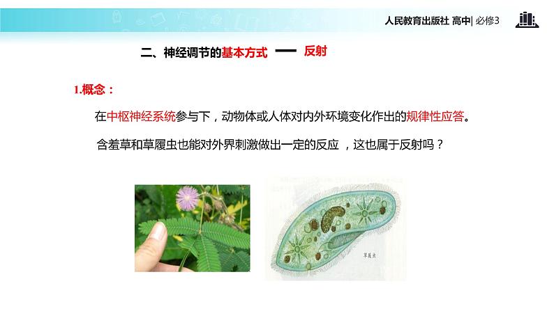 【教学课件】《通过神经系统的调节》（人教）08