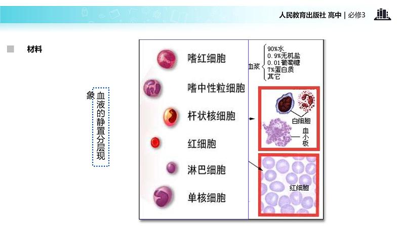 【教学课件】《细胞生活的环境》（人教）05