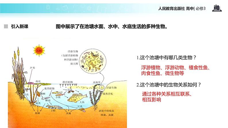 【教学课件】《群落的结构》（人教）03