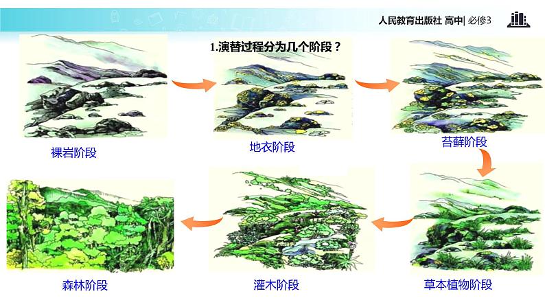 【教学课件】《群落的演替》（人教）07