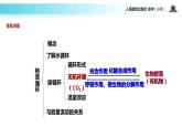 发现式教学【教学课件】《生态系统的物质循环》（人教）