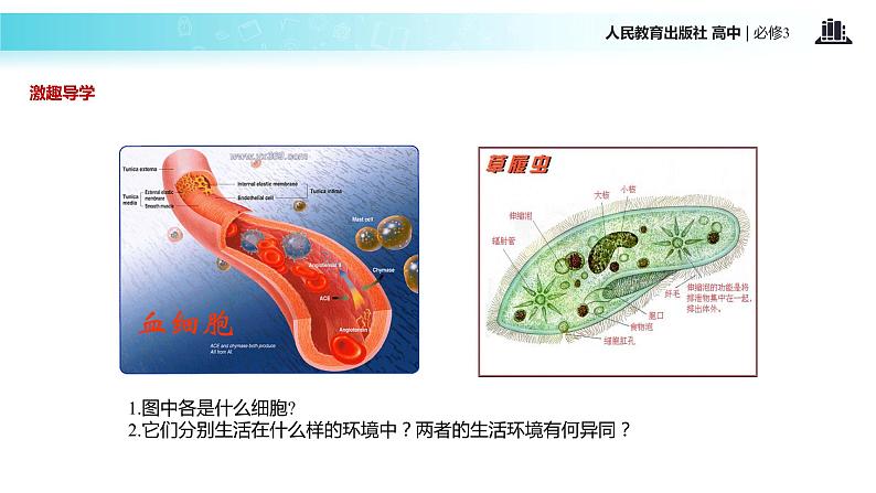 发现式教学【教学课件】《细胞生活的环境》（人教）02