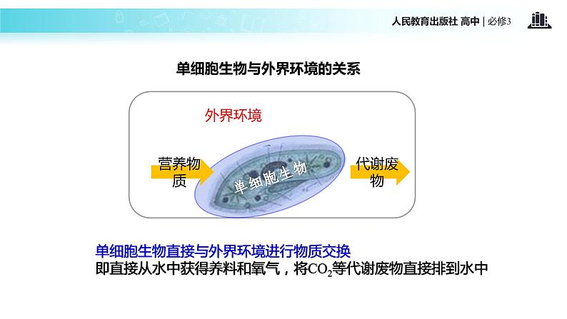 发现式教学【教学课件】《细胞生活的环境》（人教）05