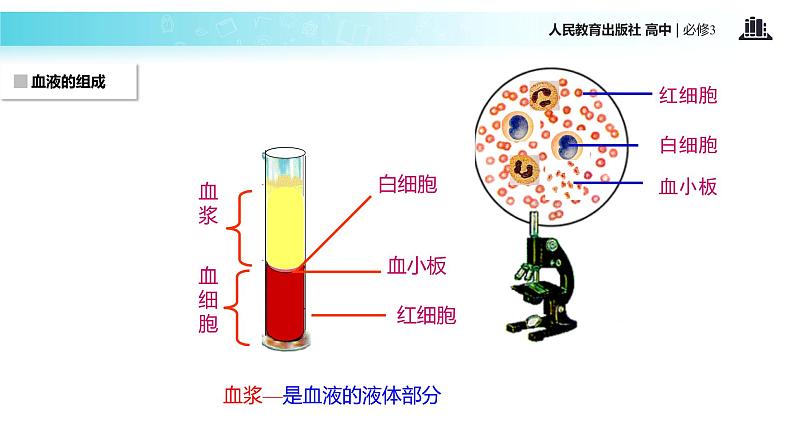 发现式教学【教学课件】《细胞生活的环境》（人教）08