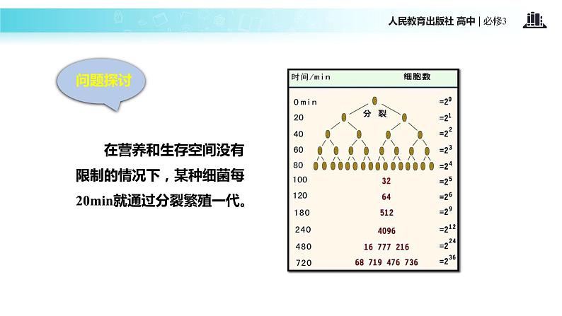 发现式教学【教学课件】《种群数量的变化》（人教）06