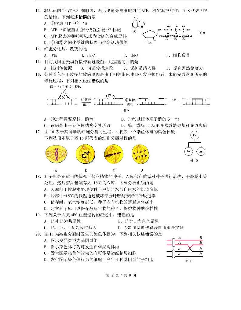 上海市2021届松江区高考生物二模试卷含答案03