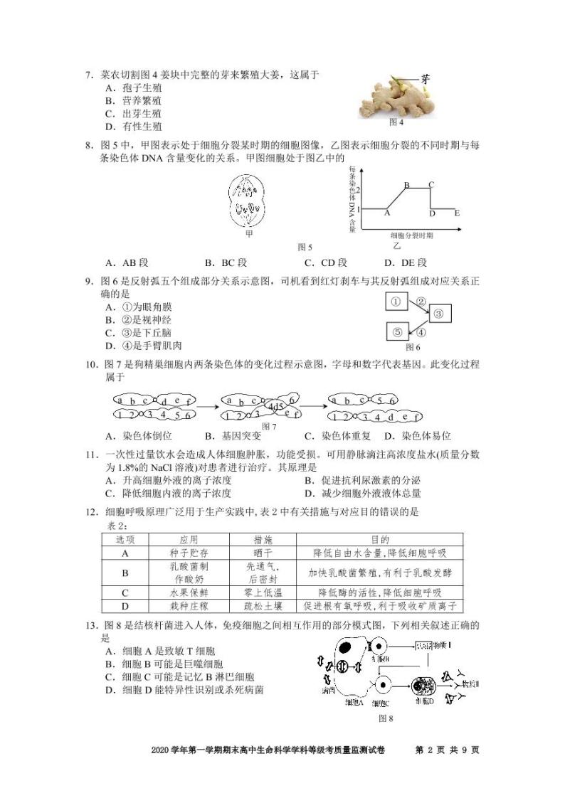 2020-2021学年上海市宝山区高中生物等级考一模卷含答案02