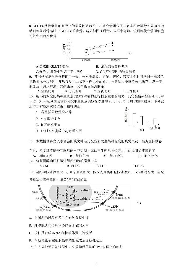 2020-2021学年上海市徐汇区高中生物等级考一模卷含答案第2页