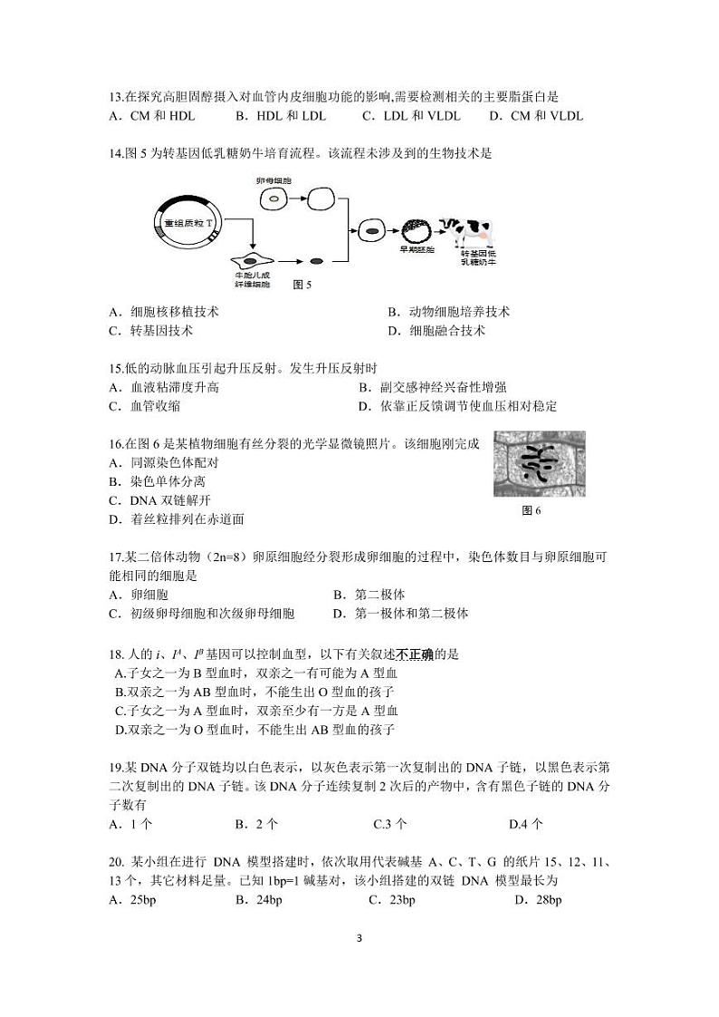 2020-2021学年上海市奉贤区高中生物等级考一模卷无答案第3页