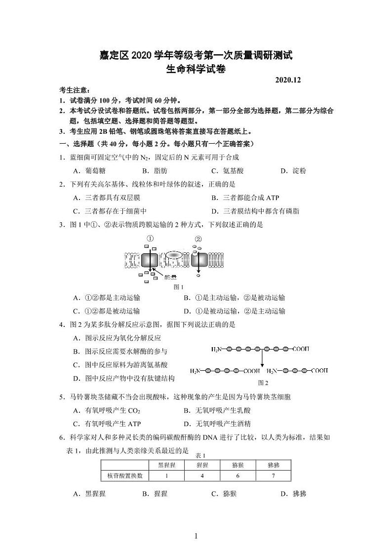 2020-2021学年上海市嘉定区高中生物等级考一模卷含答案01