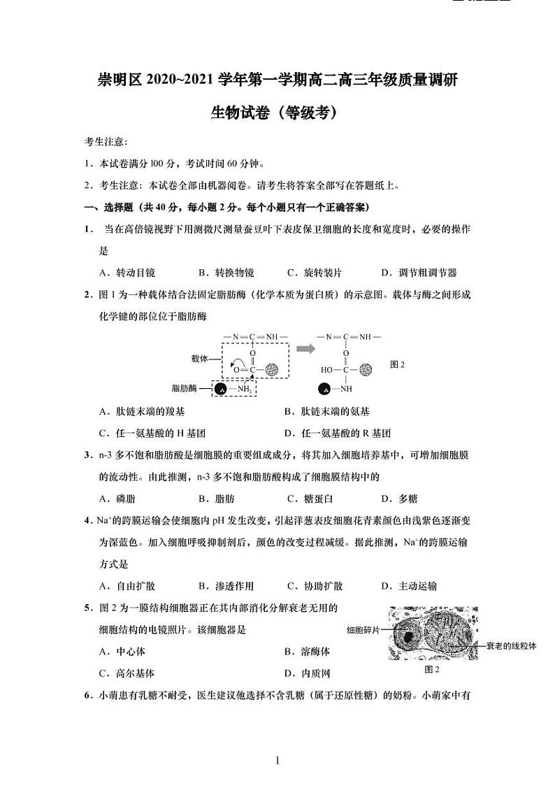 2020-2021学年上海市崇明区高中生物等级考一模卷含答案01