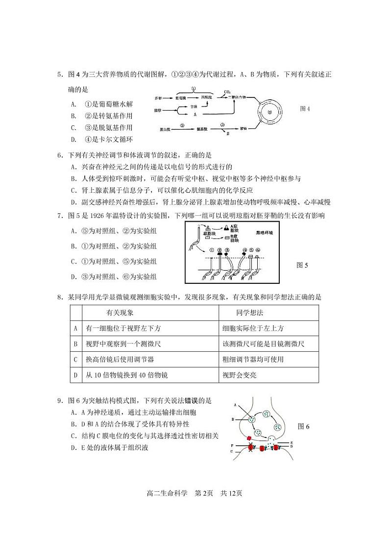 2020-2021学年上海市松江区高中生物等级考一模卷含答案02