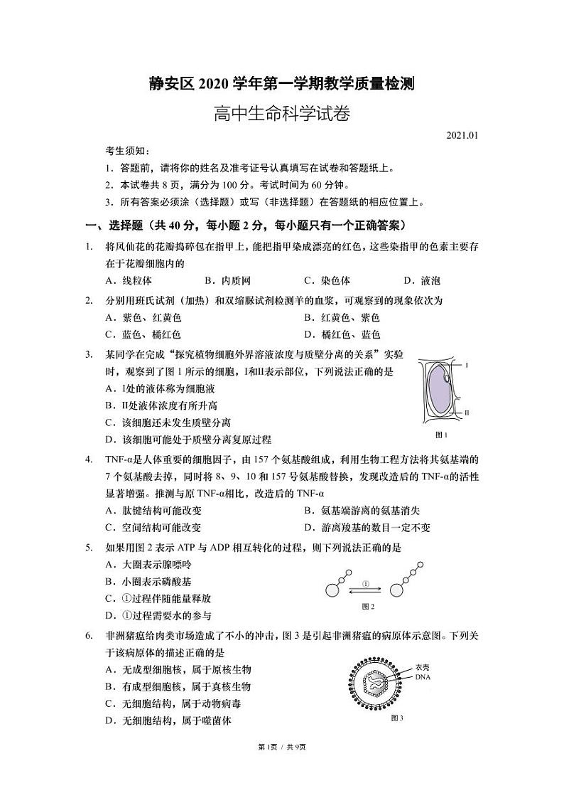 2020-2021学年上海市静安区高中生物等级考一模卷含答案01