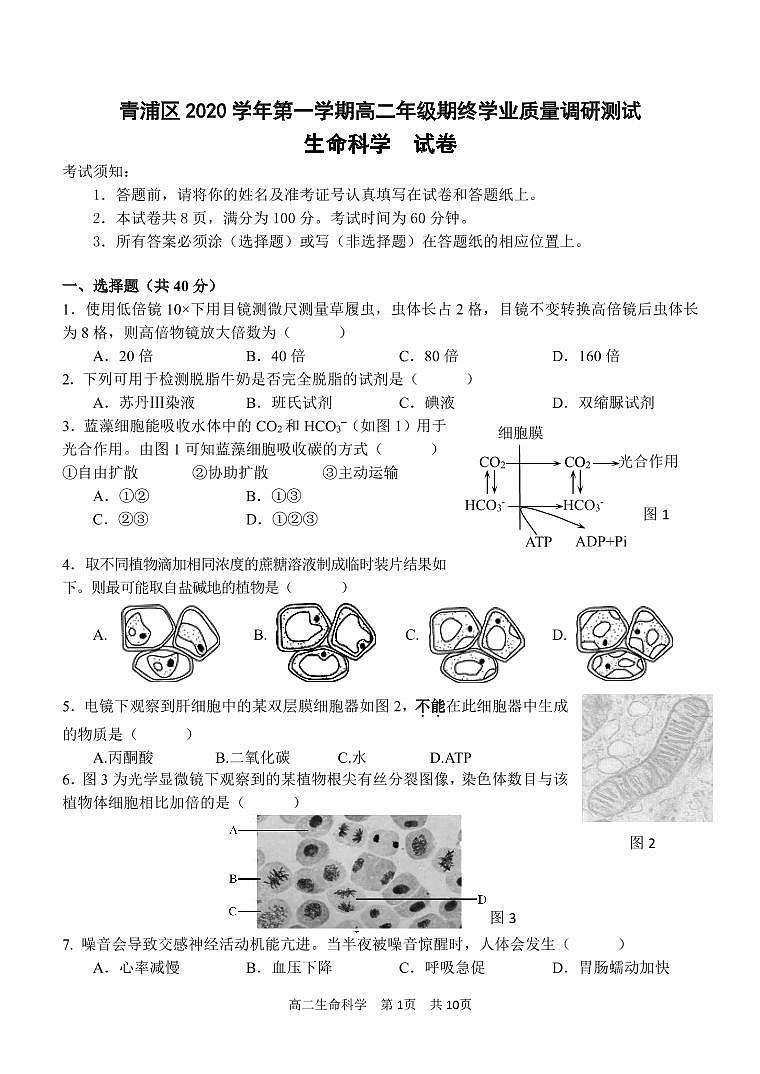 2020-2021学年上海市青浦区高中生物等级考一模卷含答案01