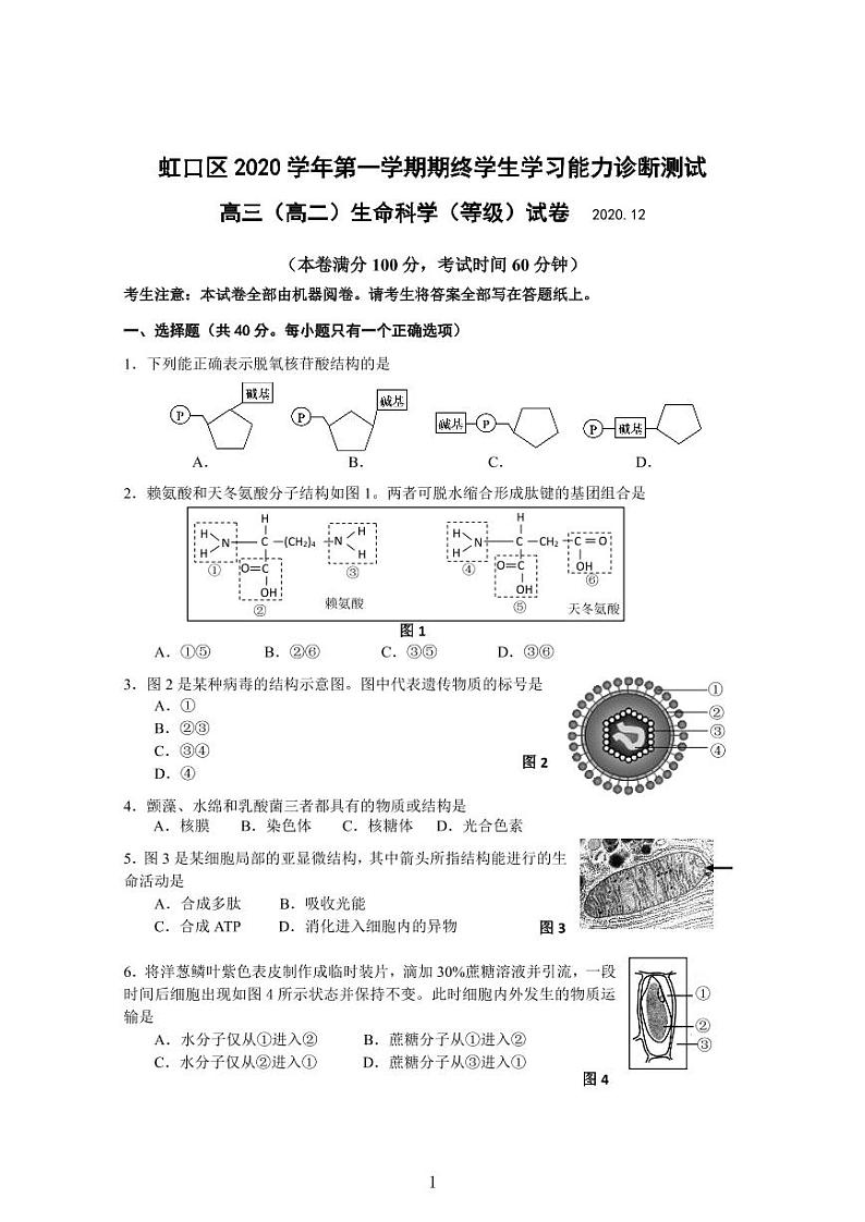 2020-2021学年上海市虹口区高中生物等级考一模卷含答案01
