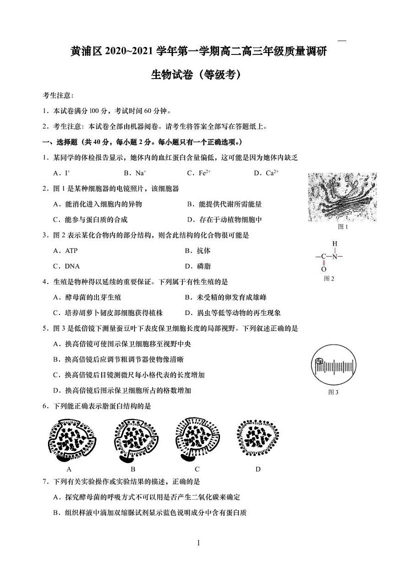 2020-2021学年上海市黄浦区高中生物等级考一模卷含答案01