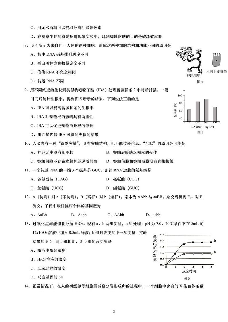 2020-2021学年上海市黄浦区高中生物等级考一模卷含答案02