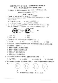 2020-2021学年上海市浦东区高中生物等级考一模卷无答案