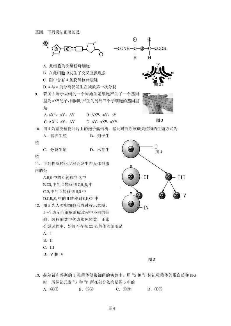 2020-2021学年上海市金山区高中生物等级考一模卷含答案02