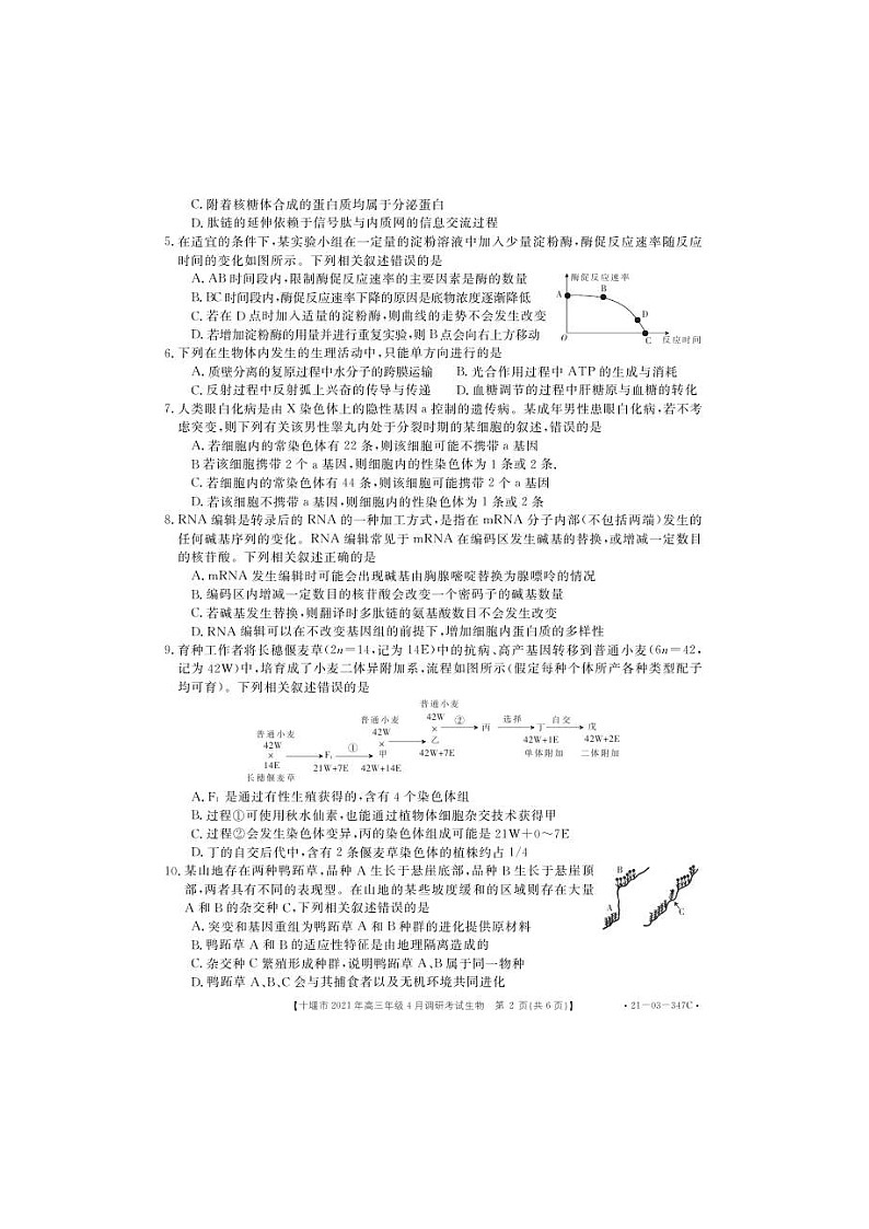 湖北省十堰市2021届高三下学期4月调研考试生物（图片版）（含答案）02