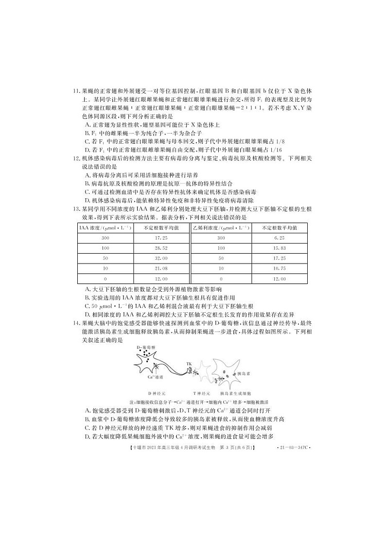 湖北省十堰市2021届高三下学期4月调研考试生物（图片版）（含答案）03