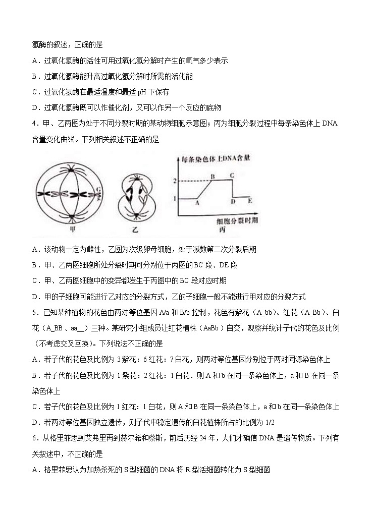 湖南省娄底市2021届高三下学期4月高考仿真模拟生物（含答案） 试卷02