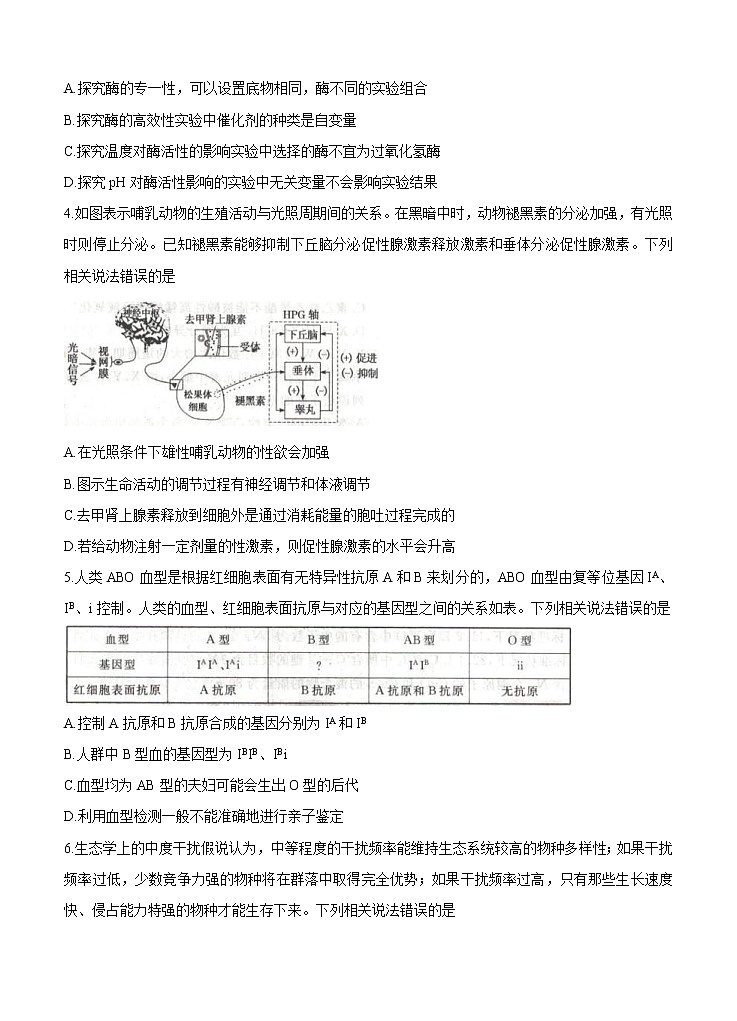 全国卷Ⅲ2021年衡水金卷先享题信息卷（四）生物（含答案）02