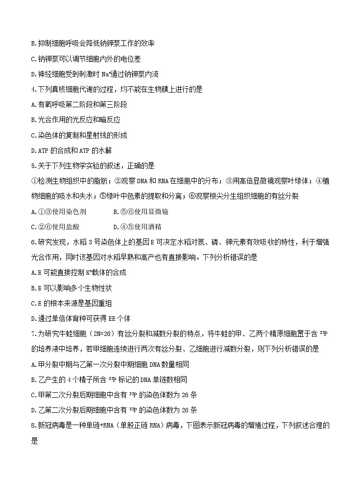 广东省深圳市2021届高三下学期4月第二次调研考试生物（含答案）02