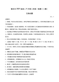 广东省肇庆市2021届高三下学期4月第三次统一检测（三模）生物（含答案）