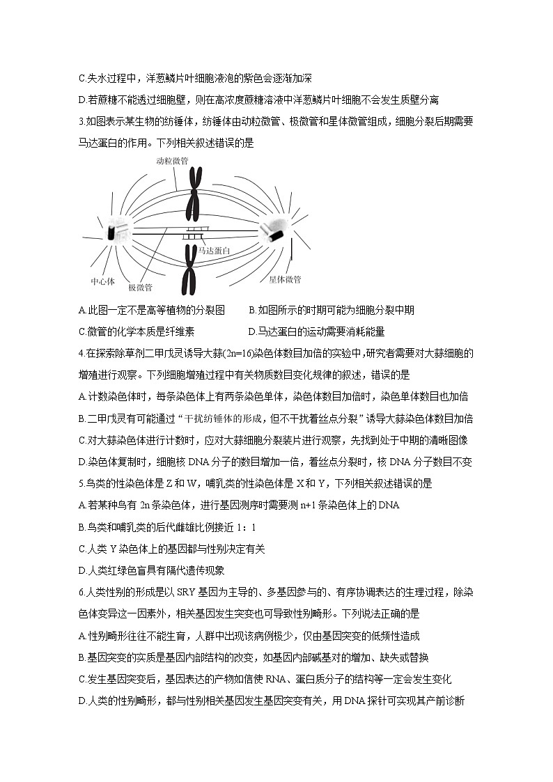 湖北省“决胜新高考·名校交流“2021届高三下学期3月联考试题：生物（有答案）02