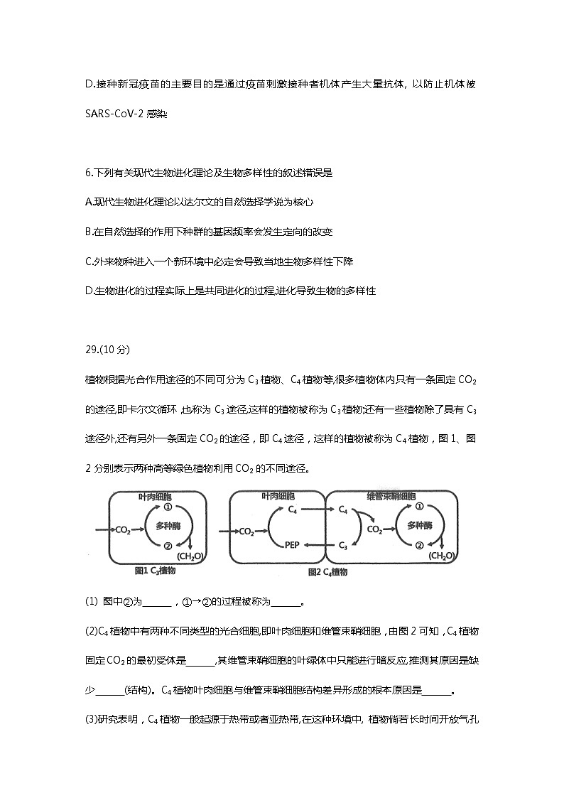 黑龙江省大庆市2021届高三下学期第二次教学质量监测（二模）（4月）理科综合：生物试卷（答案）03