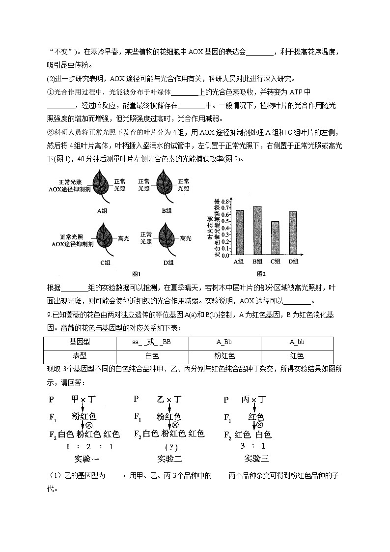 2021年高考生物冲刺模拟训练（4）03
