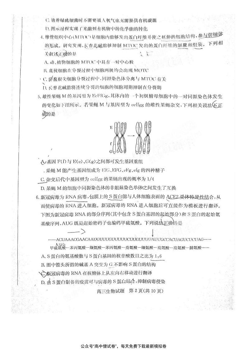 山东省德州市2021届高三下学期4月第二次模拟考试（二模）生物试题+含答案02