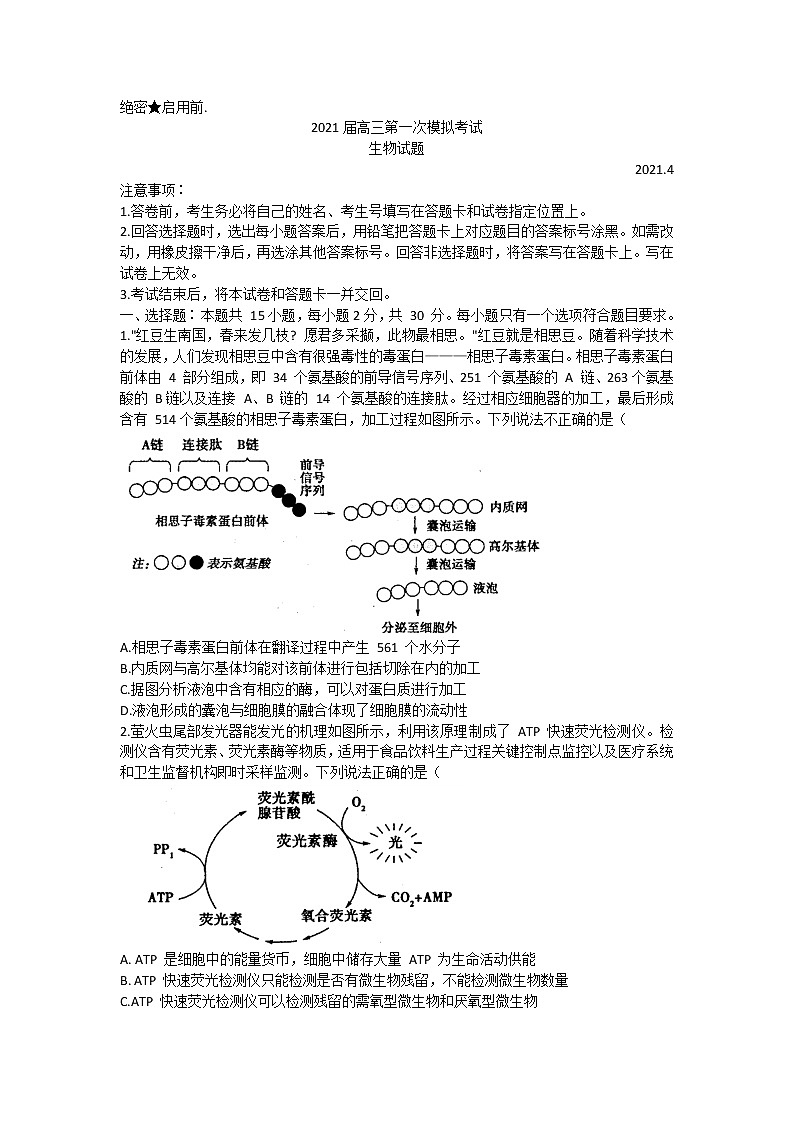 山东省实验中学2021届高三下学期4月第一次模拟考试（一模）生物试题+答案01