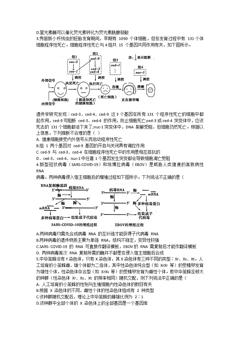 山东省实验中学2021届高三下学期4月第一次模拟考试（一模）生物试题+答案02