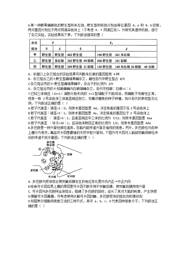 山东省实验中学2021届高三下学期4月第一次模拟考试（一模）生物试题+答案03