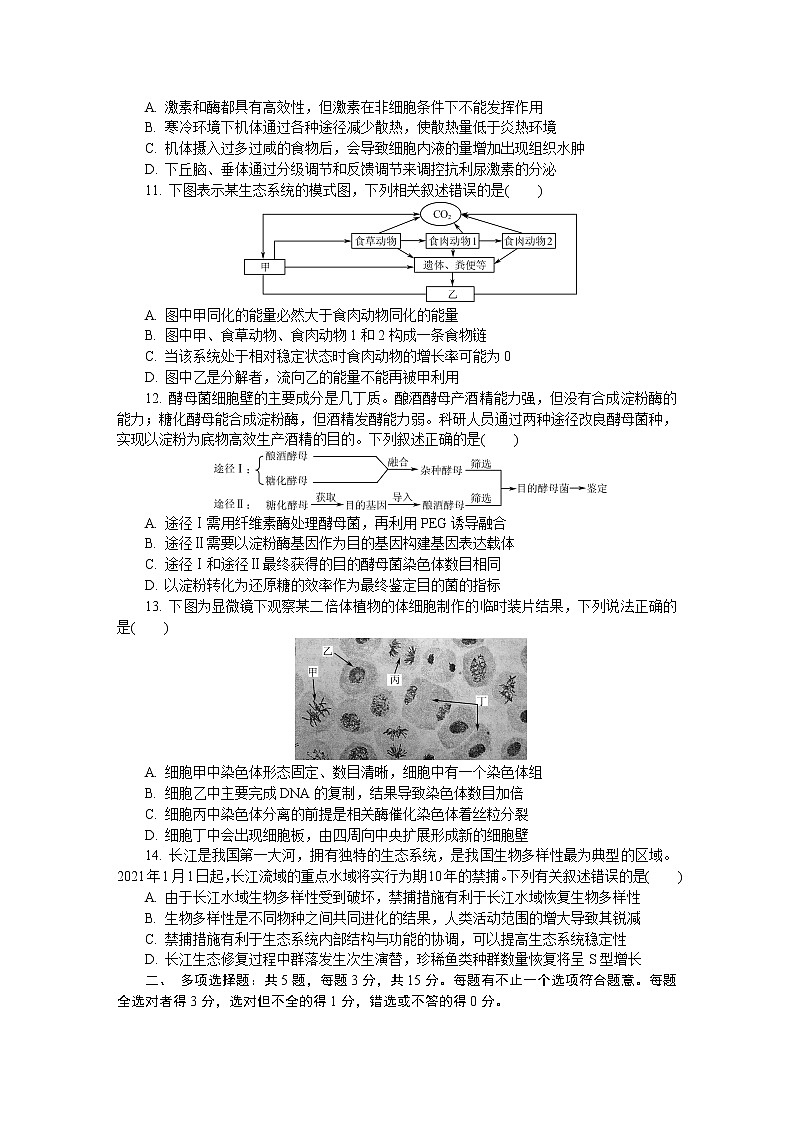 2021届江苏省南京市高三下学期5月第三次模拟考试+生物+答案03