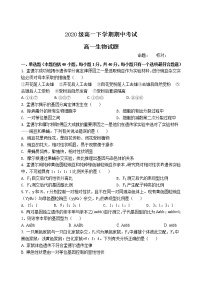 河北省衡水市2020-2021学年高一下学期期中考试生物试题（word版 含答案）