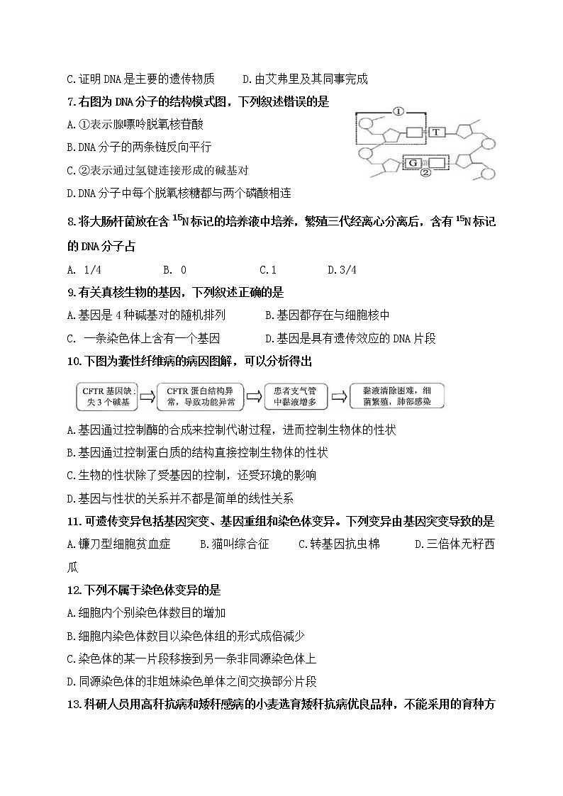 云南省昆明市2020-2021学年高一下学期期中考试生物试题（word版 含答案）02