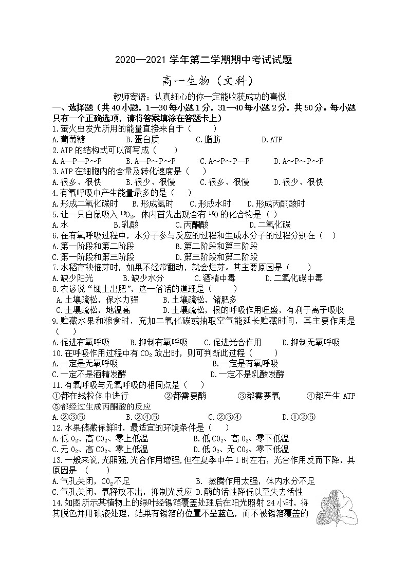 甘肃省金昌市2020-2021学年高一下学期期中考试生物（文）试题（word版 含答案）01